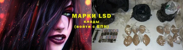 сатива Абинск