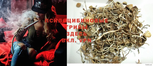 спиды Касимов