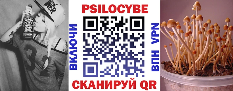 MEGA зеркало  цены   Туран  Галлюциногенные грибы мицелий 